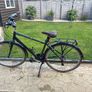 Raleigh Pioneer Image 2