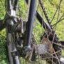 Adult mountain bike Image 6