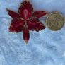 costume brooch Image 2