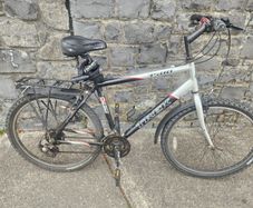 Trek Mountain bike.