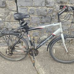 Trek Mountain bike.