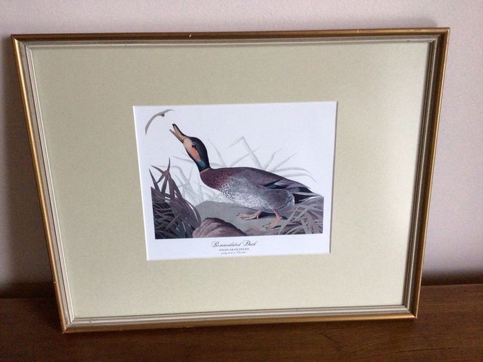 4 large wildfowl prints Framed