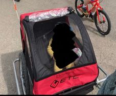 Bike Trailer