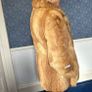 Vintage Fur Coat Image 4