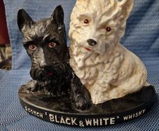 Black and White whiskey
