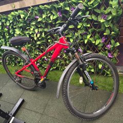 Ridgeback Bike
