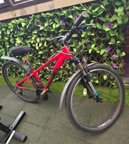 Ridgeback Bike