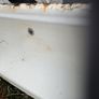 Cast iron bath Image 3