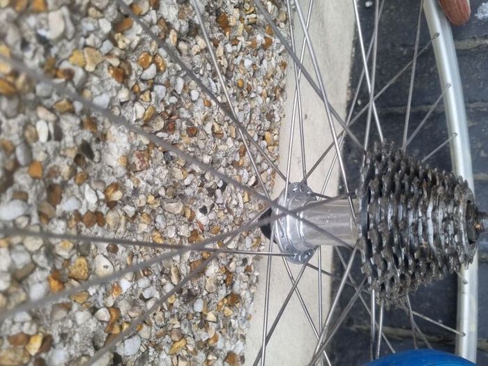 bike wheels  x 3