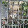 entrance gates Image 8