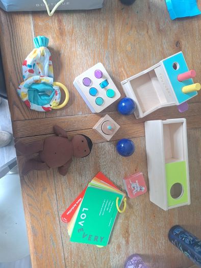 Lovevery The Thinker Play Guide 11-12 Months