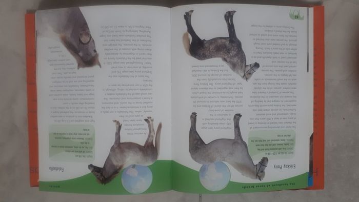 The Handbook of Horse Breeds