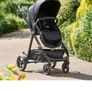 buggy Image 3