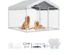 Large Outdoor Dog Kennel, 2 x 2 x 1.6 m
