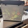 Fish tank Image 4