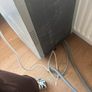 integrated dishwasher Image 6