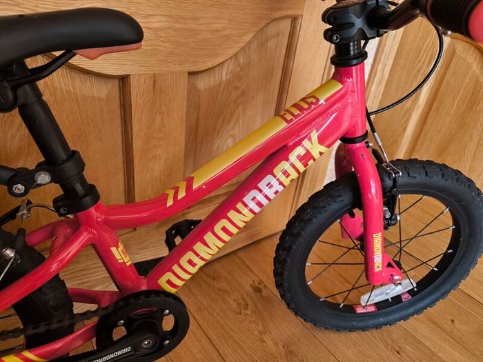 Kids 16" Bike