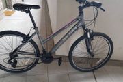 ladies bike( can deliver)