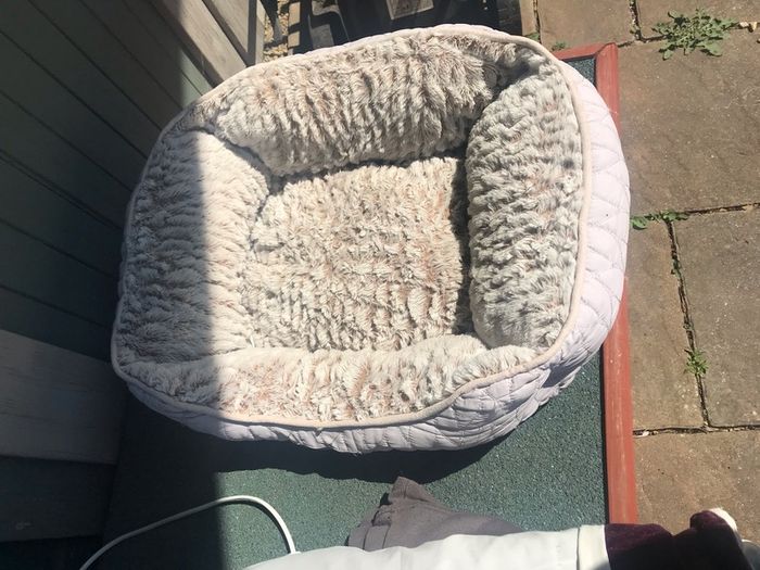 Small cat/ pet bed