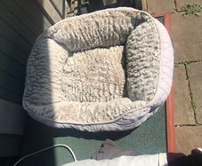Small cat/ pet bed