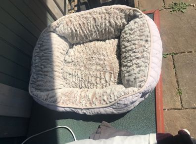 Small cat/ pet bed