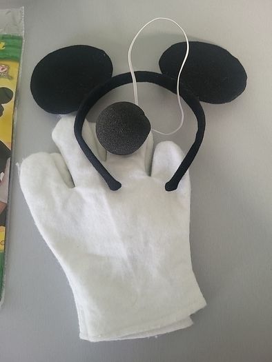 Mouse ears nose gloves