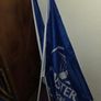Two Large Leinster Flags Image 5
