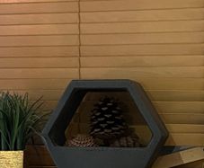 hexagon Planter / ornament