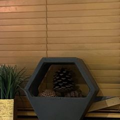 hexagon Planter / ornament