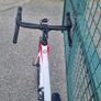 Focus Cayo Image 9