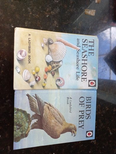 Vintage Ladybird Books- The Seashore and Birds of Prey