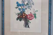 LOVELY FRAMED 55 X 65  CM. Chez Vilquin - Jean-Louis Prevost - THE PRINT IS 35x45 cm. vintage botanical print.