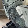 buggy Image 5