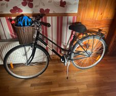 ladies bicycle