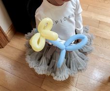 tutu skirt