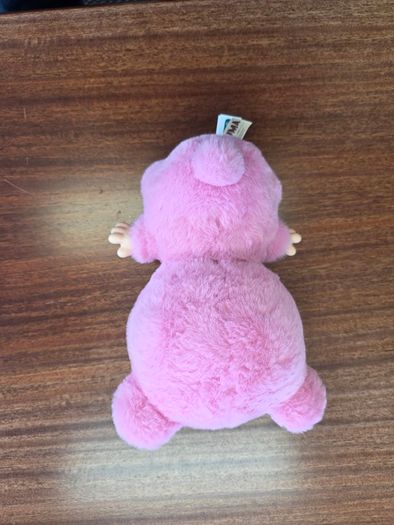 teddy