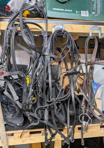 equestrian bridles