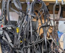 equestrian bridles