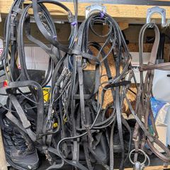 equestrian bridles