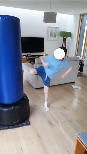Century Wavemaster 2XL Pro Free Standing Punch Bag