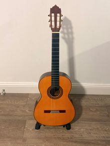 Acoustic guitar