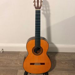 Acoustic guitar
