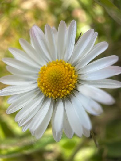 Various original macro nature photos on foam tiles