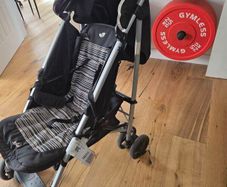 Travel Buggy (Joie)