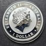 1 oz SILVER KOALA  2011  Privy Berlin Bear 1 Dollar Image 4