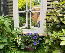 Garden mirror reflection window