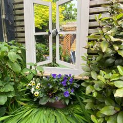 Garden mirror reflection window
