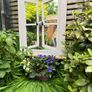 Garden reflection mirror window Image 2