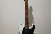 Electric Guitar ESP-LTD TE-200 SW