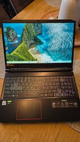 Acer Nitro 5